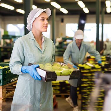 Nincs még webshopom